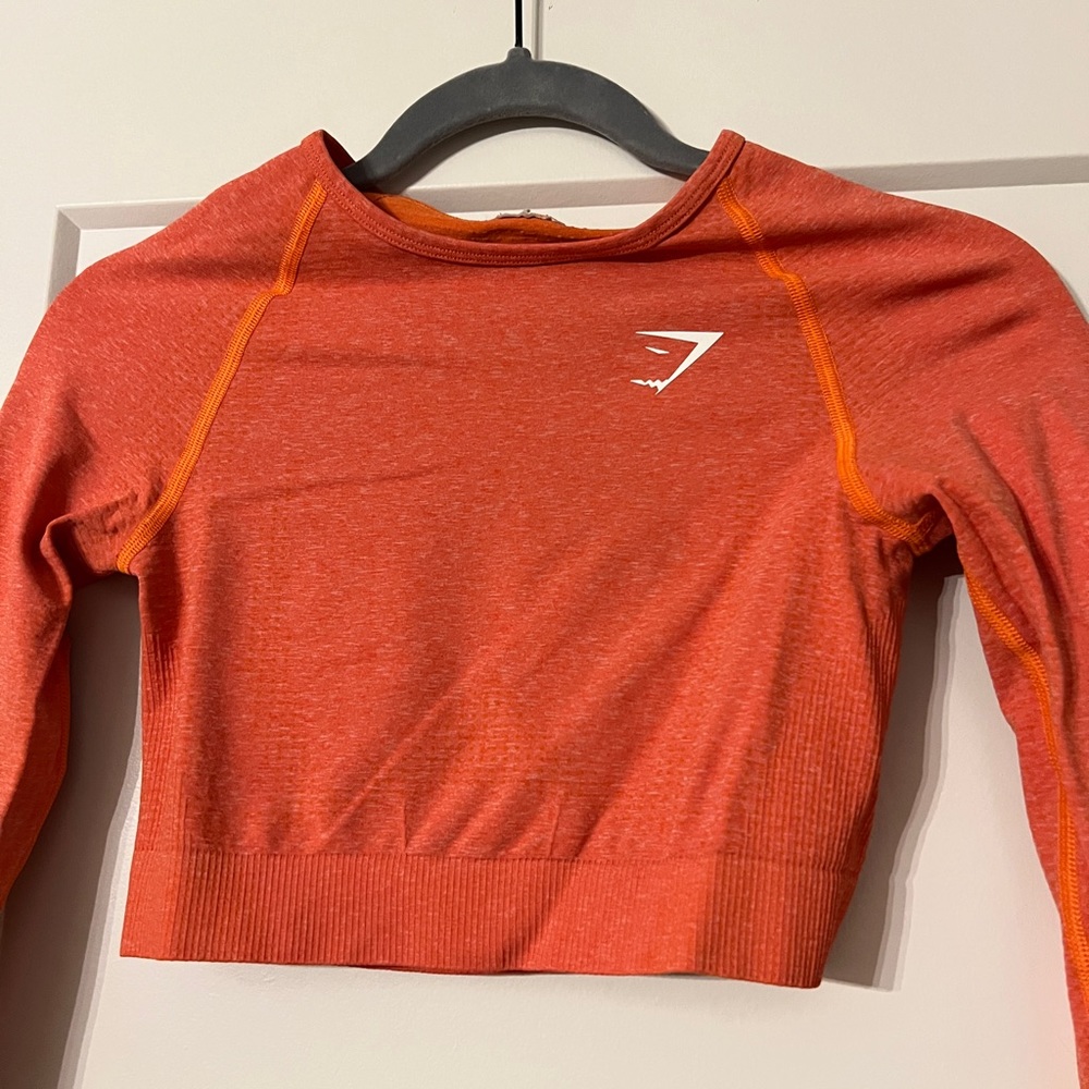 Gym shark long sleeve crop top